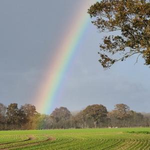 Autumn fields with rainbow