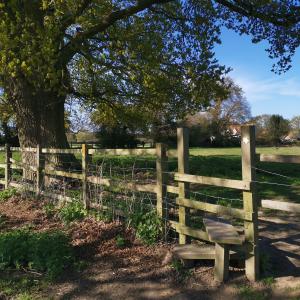 Circular walk Bentley Grove