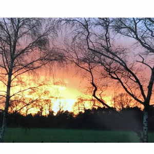 Holly Wood sunset from Woodview